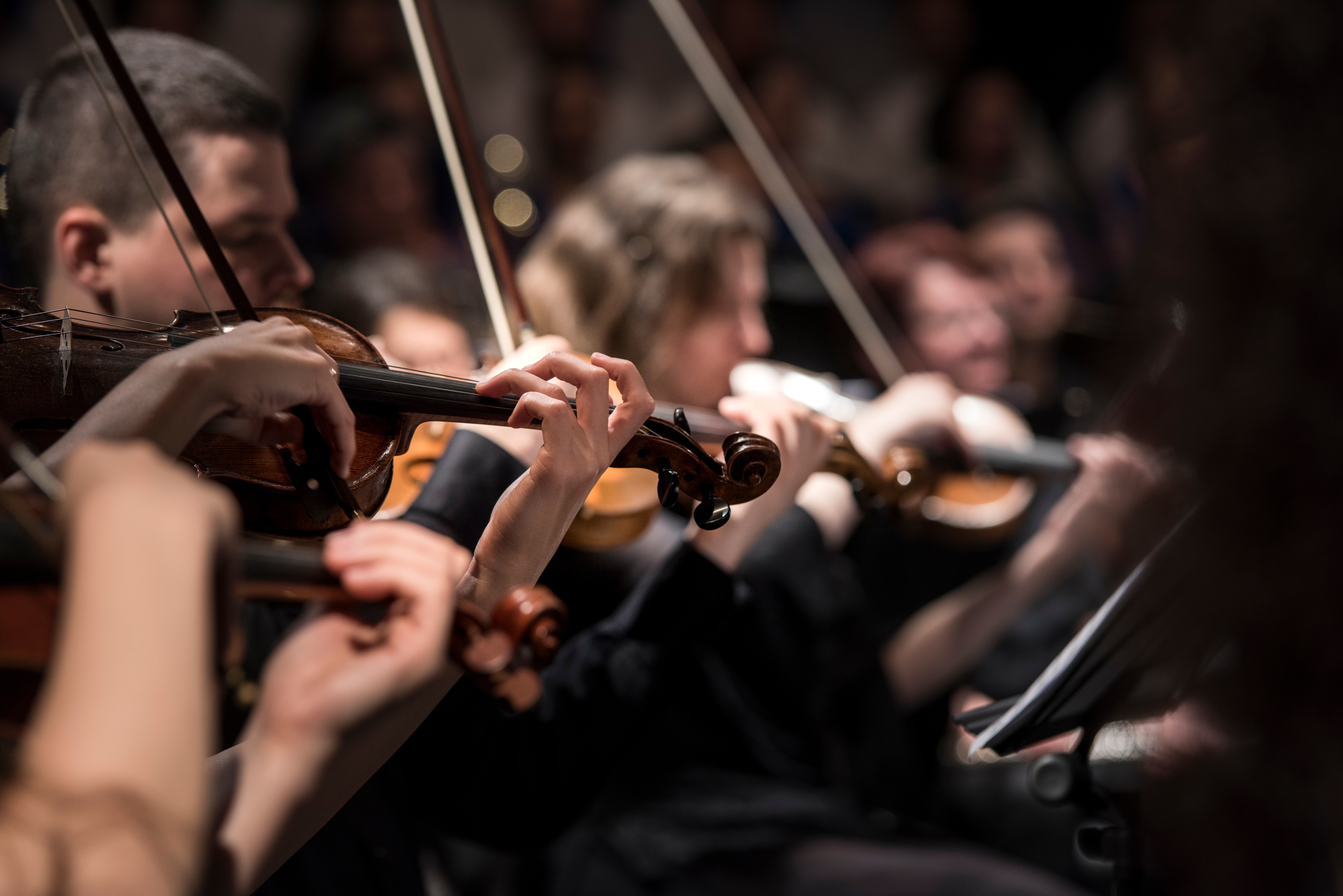 The Phoenix Symphony Orchestra has a full schedule throughout the year. 